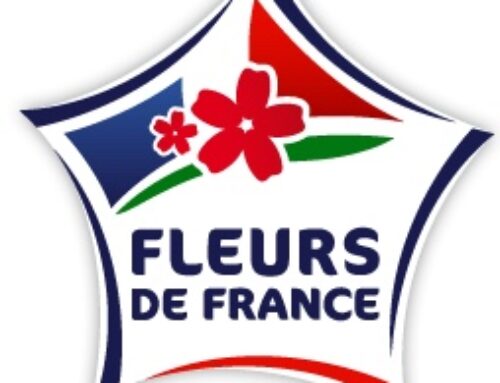 fleurs de france